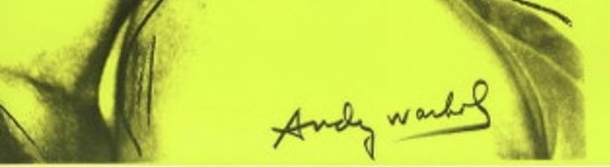 Image 1 of Andy Warhol Giclee-Kunstdruck: "Querelle - Letzter Film von Fassbinder". Großes Format.