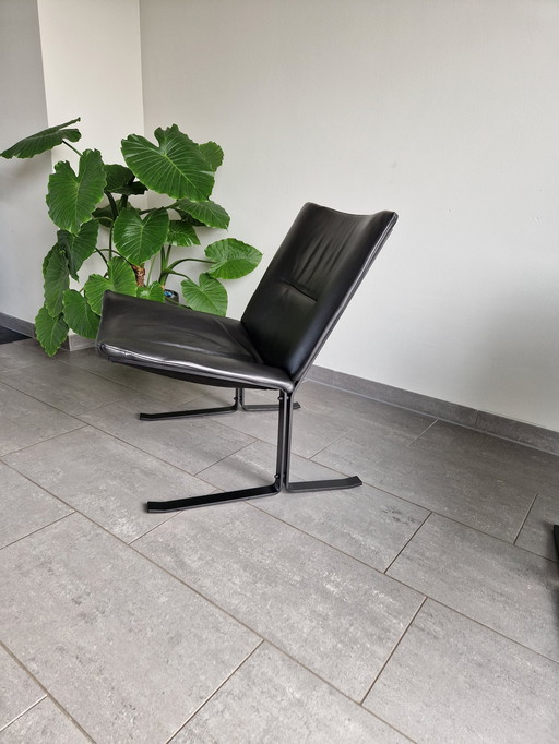 2 x Montel Eagle Sessel