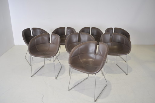 8x Moroso Fjord-Stuhl