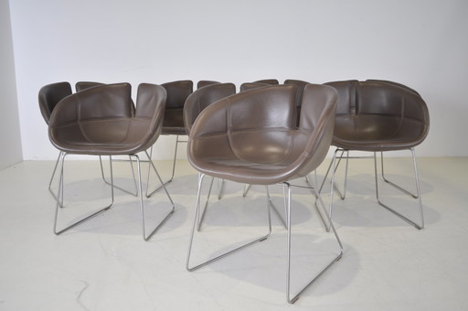 8x Moroso Fjord-Stuhl