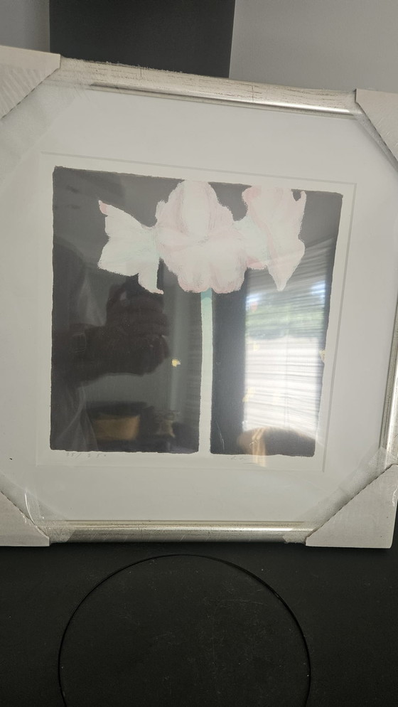 Image 1 of Glenn Sorensen - Amaryllis und Kita-Pflanze 2005 - Signierter Siebdruck - Auflage 35/250