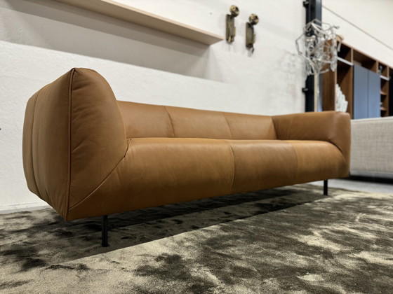 Image 1 of Neu Label Vandenberg Moby Dick 3 Sitzer Sofa Montana Leder