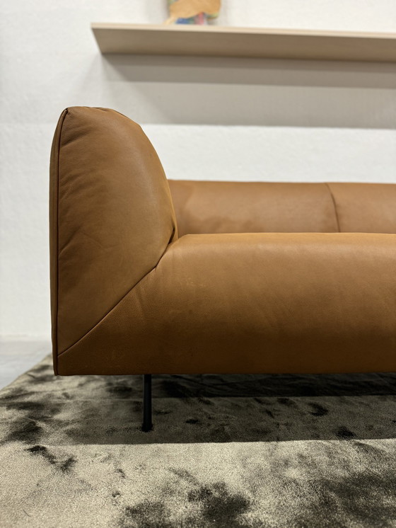 Image 1 of Neu Label Vandenberg Moby Dick 3 Sitzer Sofa Montana Leder