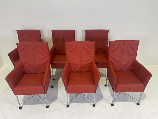 6x Montis Chaplin Esszimmerstuhl