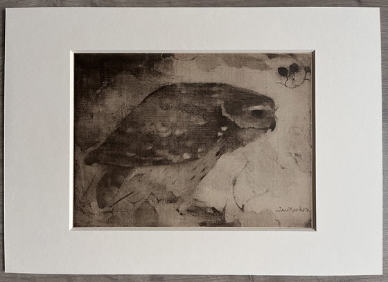 Image 1 of Jan Mankes 1889-1920 / Heliogravüre Raubvogel auf Ast 1923