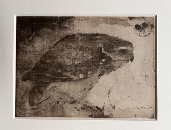 Image 1 of Jan Mankes 1889-1920 / Heliogravüre Raubvogel auf Ast 1923