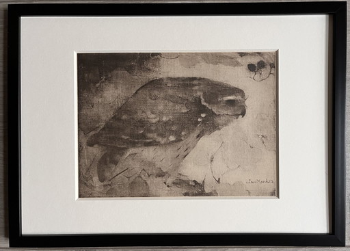 Jan Mankes 1889-1920 / Heliogravüre Raubvogel auf Ast 1923