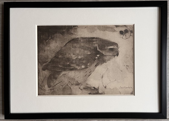 Image 1 of Jan Mankes 1889-1920 / Heliogravüre Raubvogel auf Ast 1923