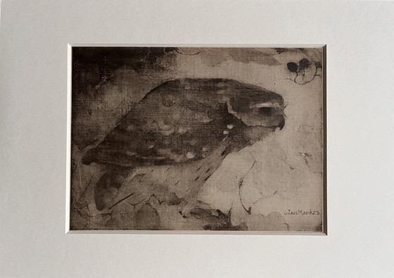 Image 1 of Jan Mankes 1889-1920 / Heliogravüre Raubvogel auf Ast 1923