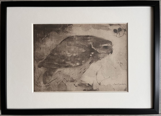 Image 1 of Jan Mankes 1889-1920 / Heliogravüre Raubvogel auf Ast 1923