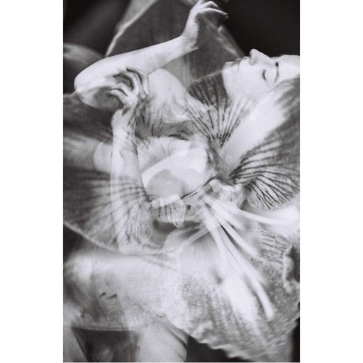 Vintage-Gemälde Mouvements Naturels 09 von Meïdhy Bichon, 2019