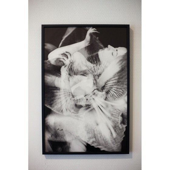 Image 1 of Vintage-Gemälde Mouvements Naturels 09 von Meïdhy Bichon, 2019