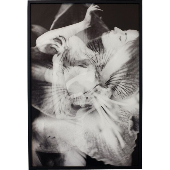 Image 1 of Vintage-Gemälde Mouvements Naturels 09 von Meïdhy Bichon, 2019