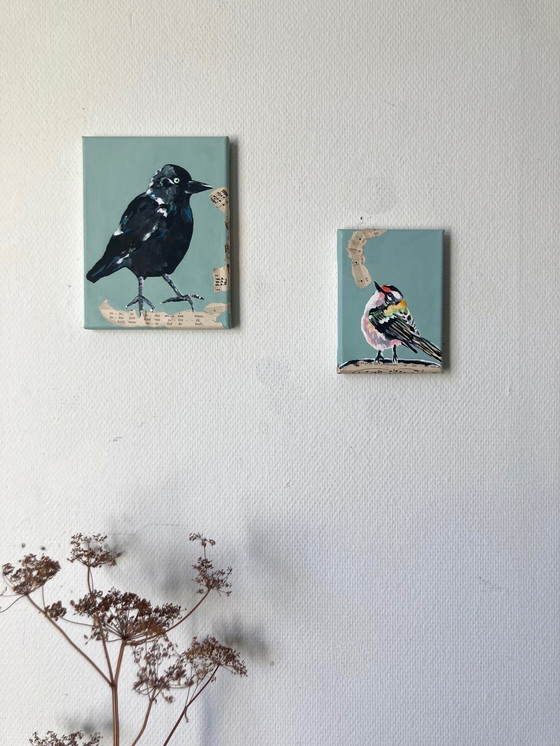 Image 1 of Porträt einer Dohle