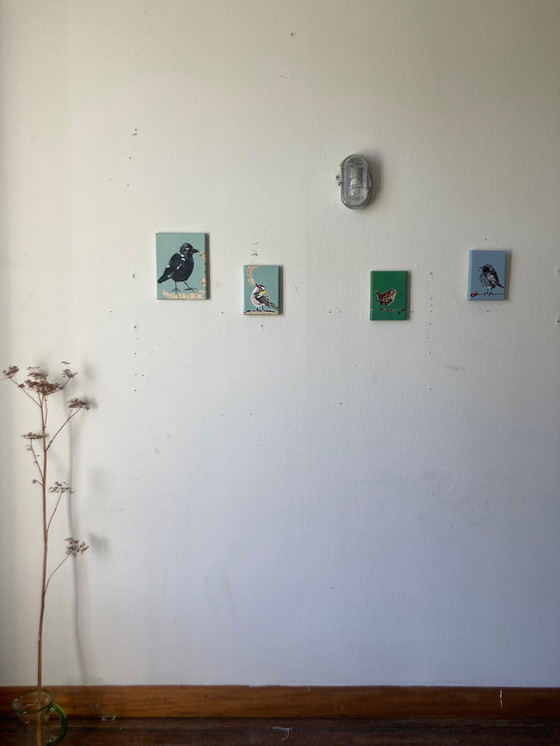 Image 1 of Porträt einer Dohle