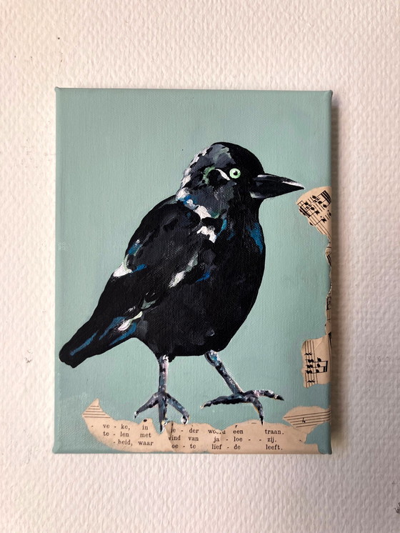 Image 1 of Porträt einer Dohle