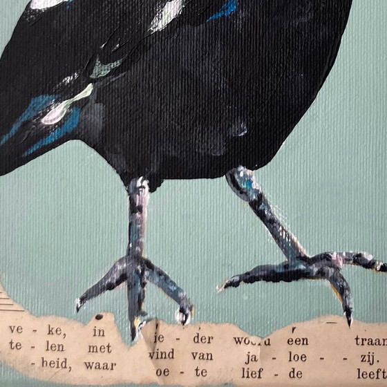 Image 1 of Porträt einer Dohle