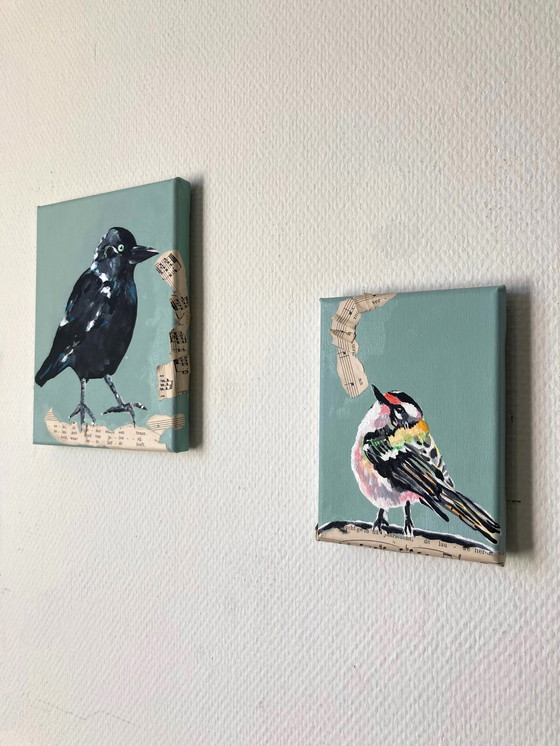 Image 1 of Porträt einer Dohle