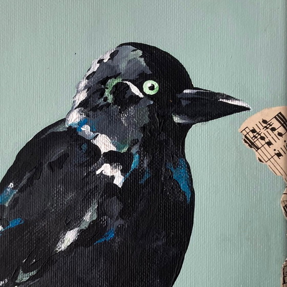 Image 1 of Porträt einer Dohle