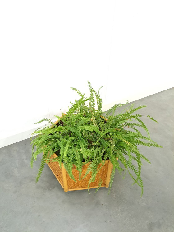 Image 1 of Rattan-Bambus-Pflanzgefäß auf Rädern, Blumentopf