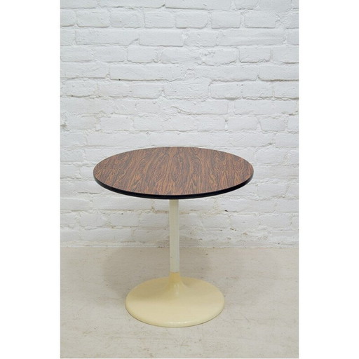 Vintage Couchtisch "Tulip" aus Stahl und Kunststoff für Lusch Erzeugnis, 1960