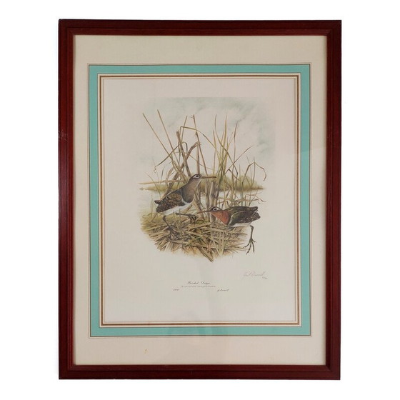 Image 1 of Ein Paar nummerierte Lithografien von Gail Denise Darroll, 1979