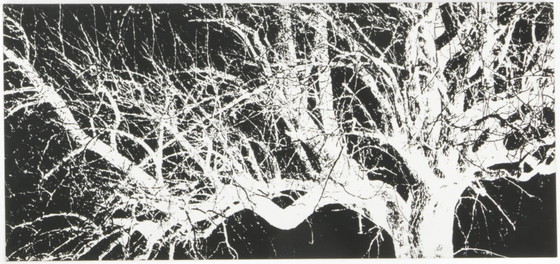 Image 1 of 4x Monochrome Prints on Wood Panels