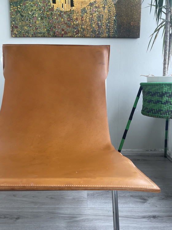 Image 1 of Atelier Kesteren Valerio Jungle Lounge in limitierter Auflage