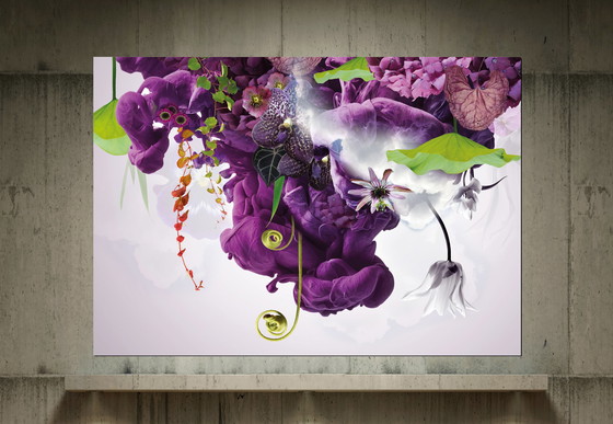 Image 1 of Geert Maas - Rosa Wolke