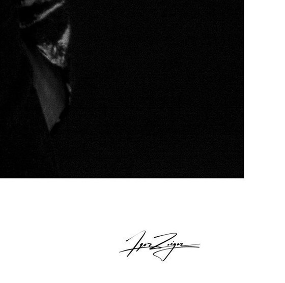 Image 1 of Igor Zeiger. Eisen. Das Farnese-Mädchen.