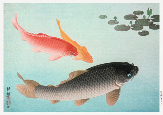 Image 1 of Ohara Koson ---Koi Karpfen