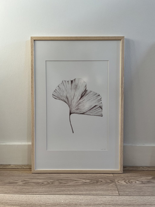 Fine Art Print Gerahmt: Ginkgo-Blatt