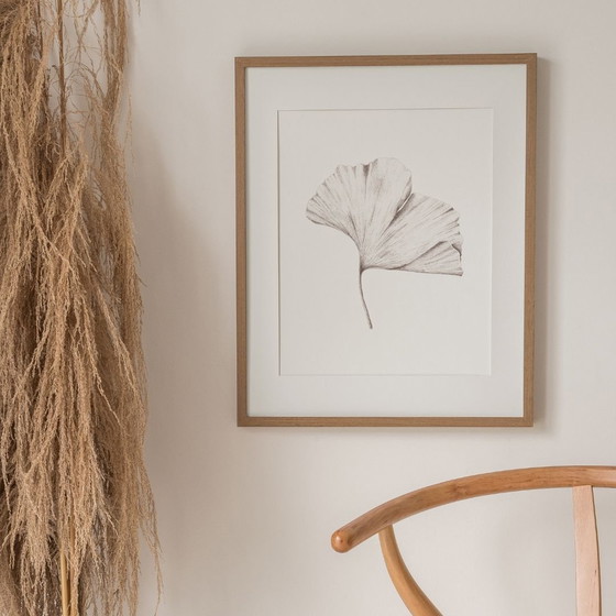 Image 1 of Fine Art Print Gerahmt: Ginkgo-Blatt