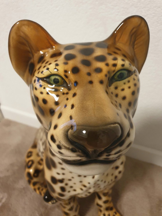 Image 1 of Favaro Checcheto Panther Xxl