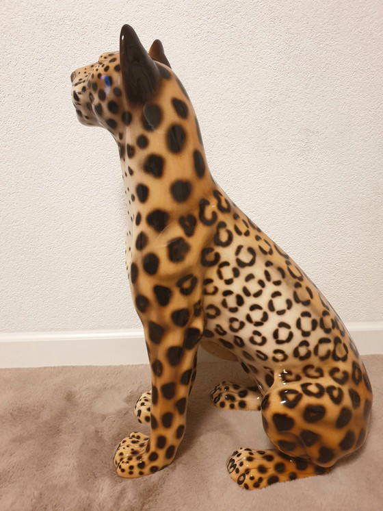 Image 1 of Favaro Checcheto Panther Xxl