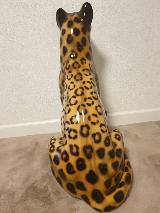 Image 1 of Favaro Checcheto Panther Xxl