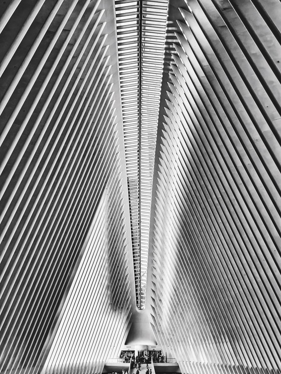 Image 1 of Fabian Kimmel - New York Spine