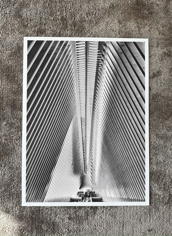 Image 1 of Fabian Kimmel - New York Spine