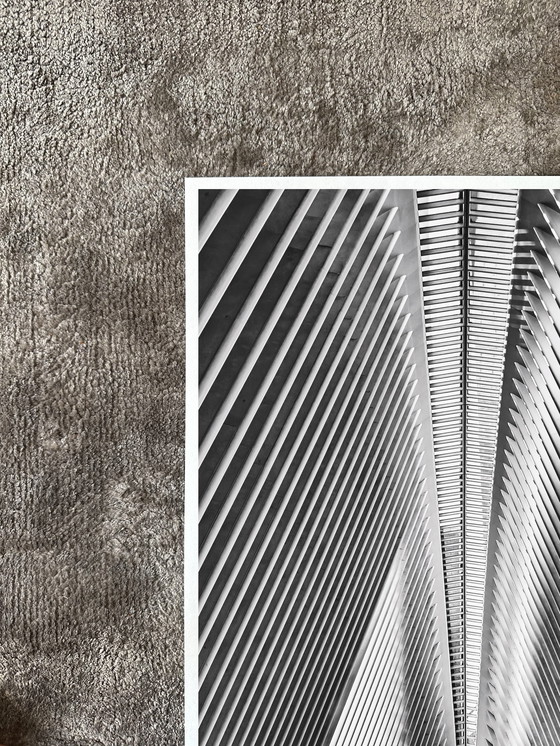 Image 1 of Fabian Kimmel - New York Spine