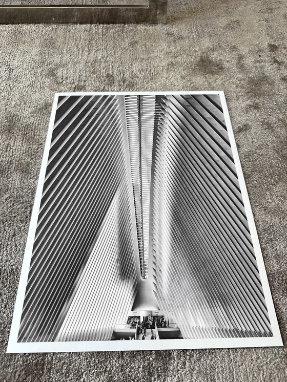 Image 1 of Fabian Kimmel - New York Spine