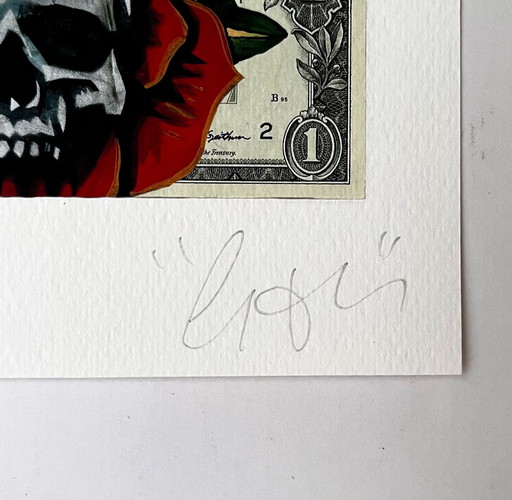 Copyright Dollar Skull