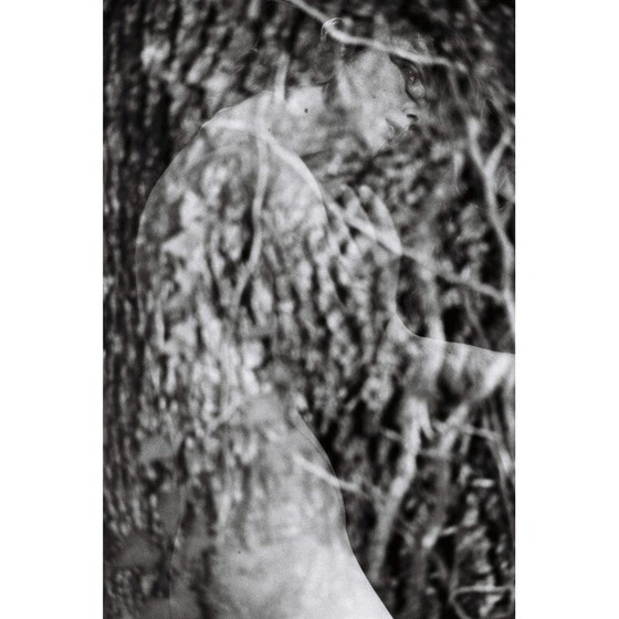 Image 1 of Vintage painting Natural Movements 14 von Meïdhy Bichon, 2019