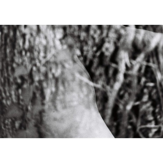 Image 1 of Vintage painting Natural Movements 14 von Meïdhy Bichon, 2019