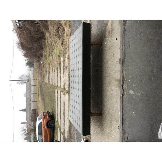 Image 1 of Vintage Grünes skaï Tagesbett, 1960