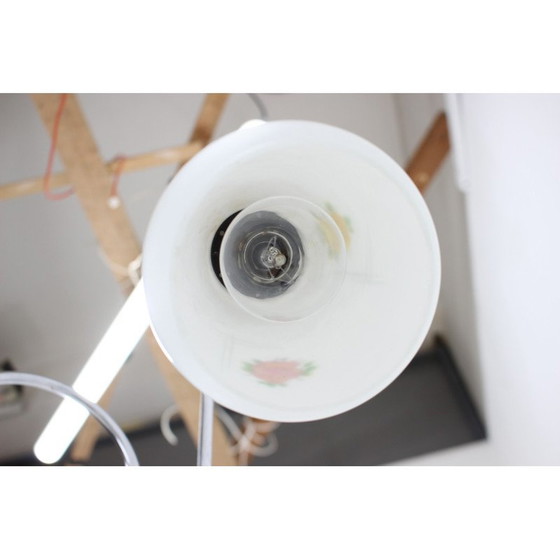 Image 1 of Vintage Stehlampe mit Glasschirmen ,Tschechoslowakei 1960er Jahre