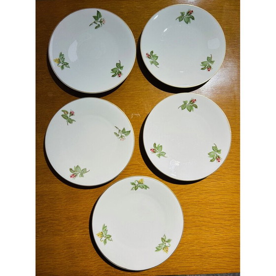 Image 1 of Posten von 10 alten Tellern von Théodore Haviland für La Porcelaine de Paris, Frankreich 1960