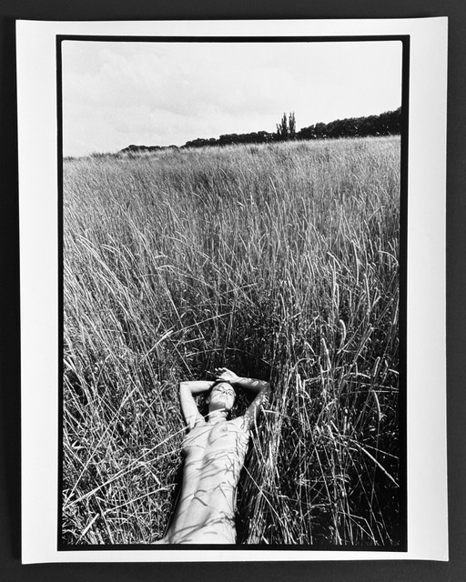 Michel Pinel / Nue Dans Les Hautes Herbes / 2003