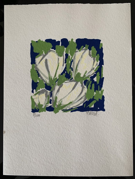 5x Siebdrucke von Ad van Hassel