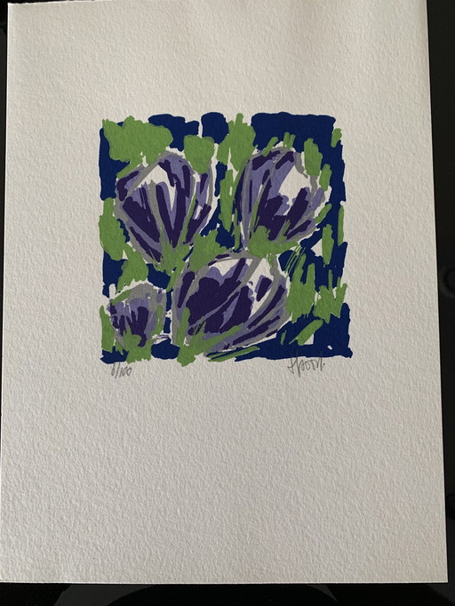 5x Siebdrucke von Ad van Hassel