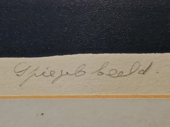 Image 1 of Herman van Valen - Spiegelbild